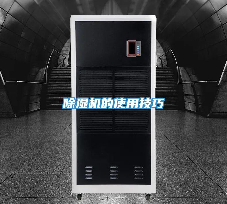 猫咪成人官网的使用技巧