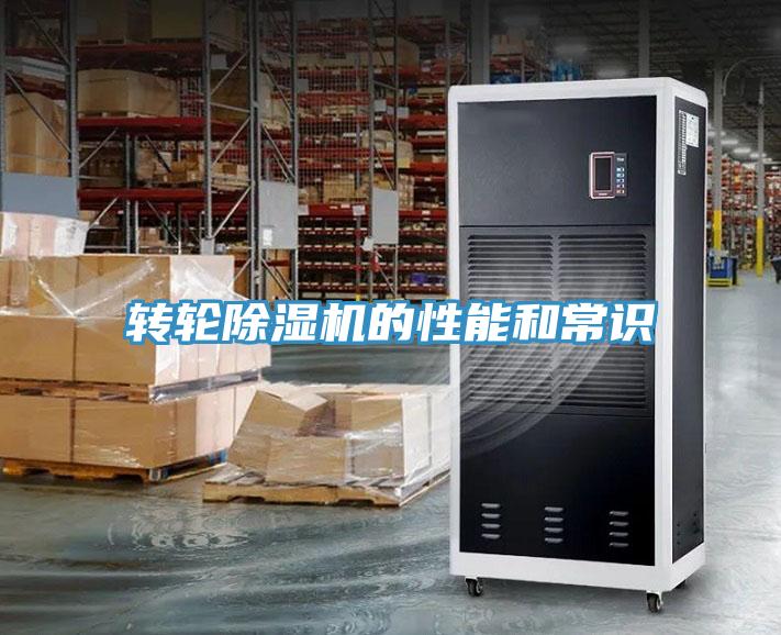 转轮猫咪成人官网的性能和常识