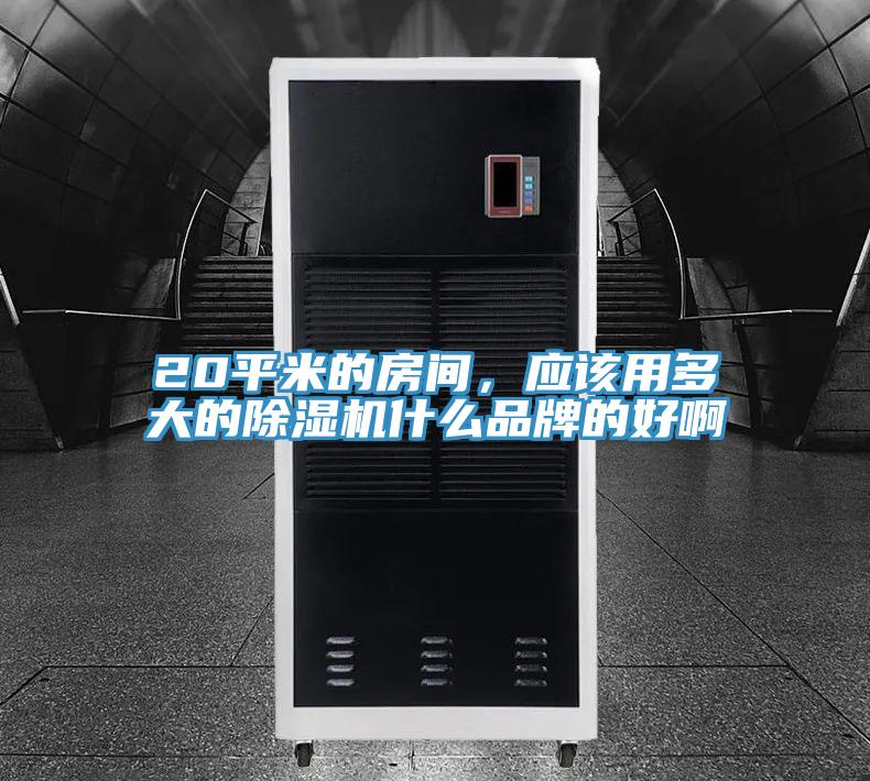 20平米的房间，应该用多大的猫咪成人官网什么品牌的好啊