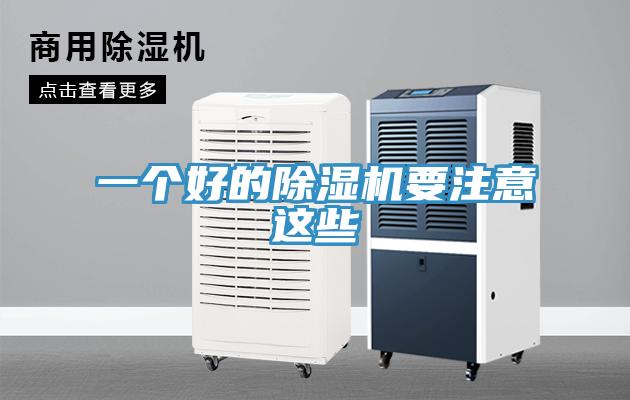 一个好的猫咪成人官网要注意这些
