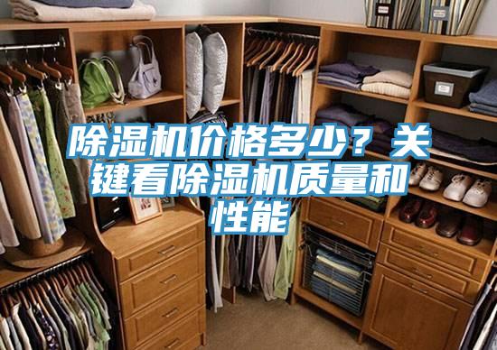 猫咪成人官网价格多少？关键看猫咪成人官网质量和性能