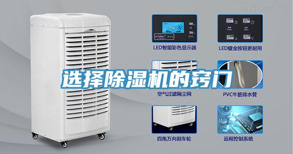 选择猫咪成人官网的窍门