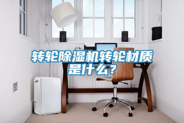 转轮猫咪成人官网转轮材质是什么？