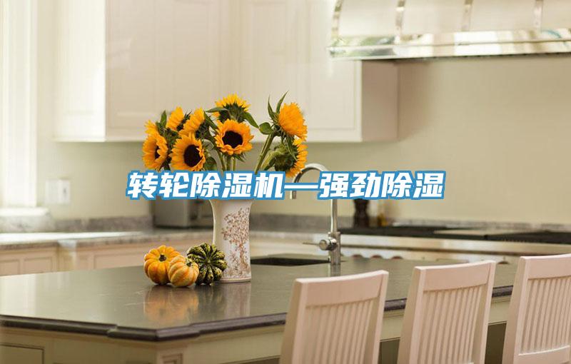 转轮猫咪成人官网—强劲除湿