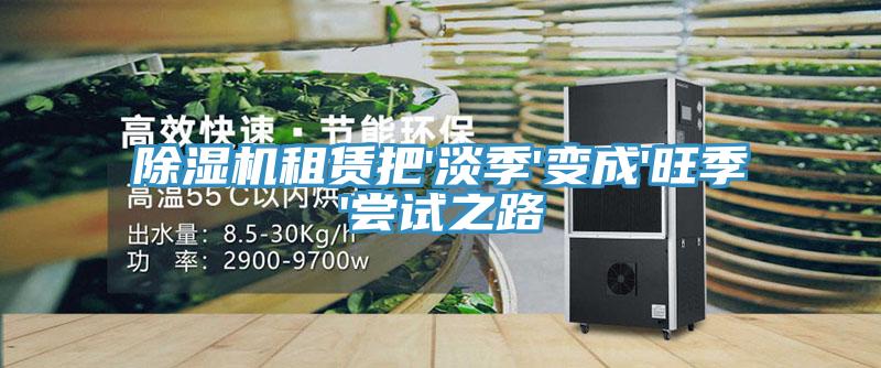 猫咪成人官网租赁把'淡季'变成'旺季'尝试之路