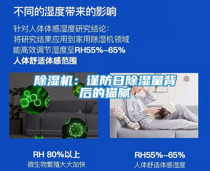 猫咪成人官网：谨防日除湿量背后的猫腻