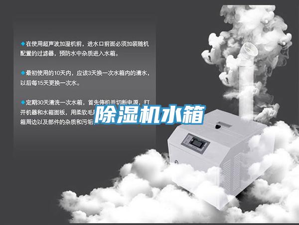 猫咪成人官网水箱