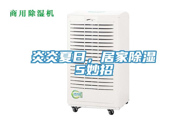 炎炎夏日，居家除湿5妙招