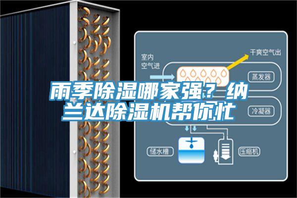 雨季除湿哪家强？纳兰达猫咪成人官网帮你忙