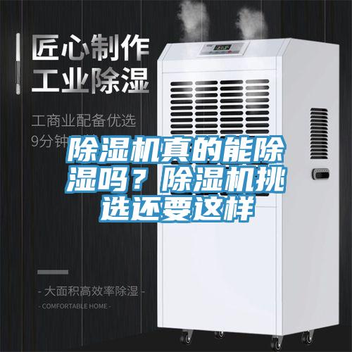 猫咪成人官网真的能除湿吗？猫咪成人官网挑选还要这样