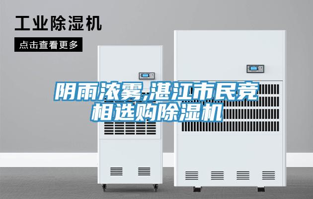 阴雨浓雾,湛江市民竞相选购猫咪成人官网
