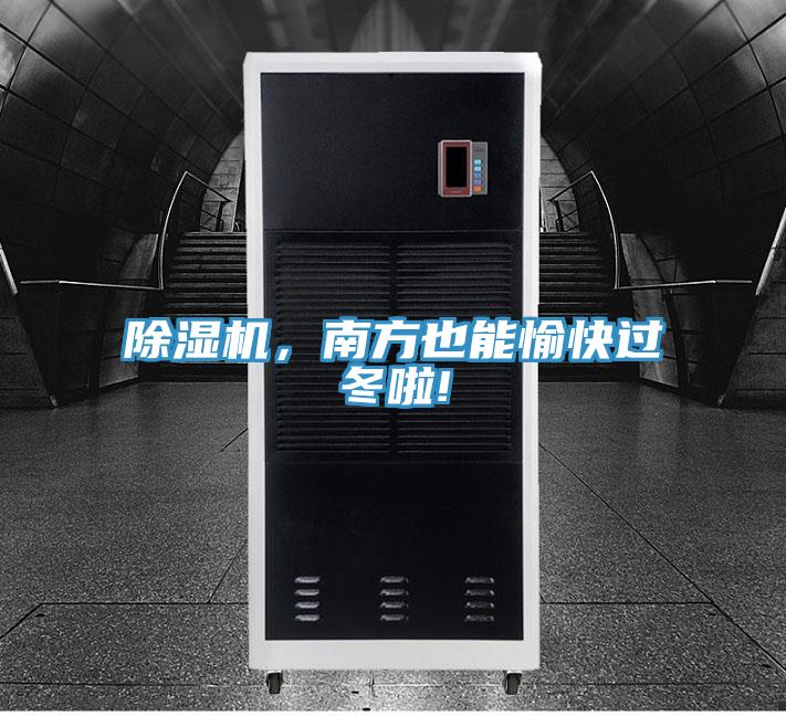 猫咪成人官网，南方也能愉快过冬啦!