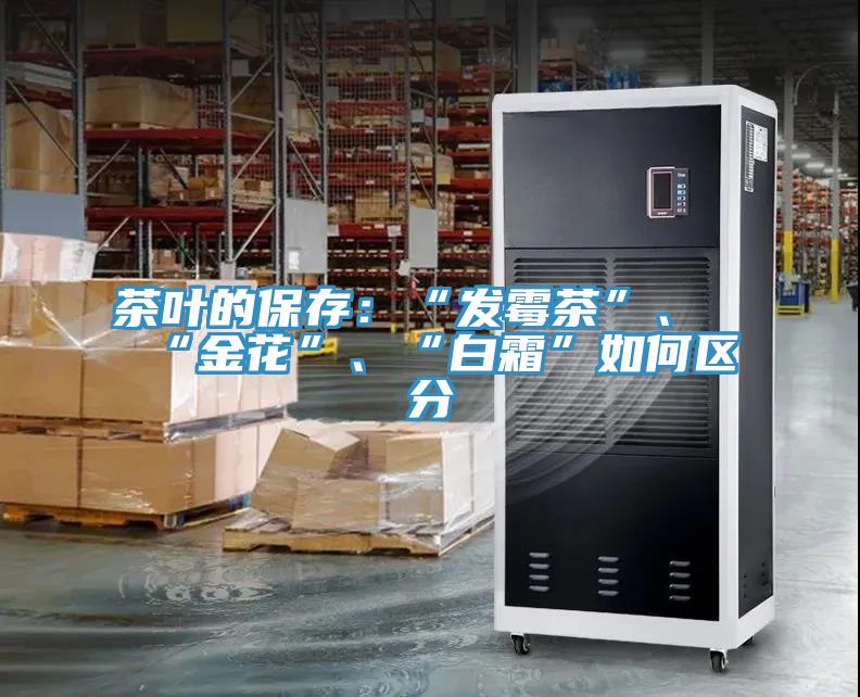 茶叶的保存：“发霉茶”、“金花”、“白霜”如何区分