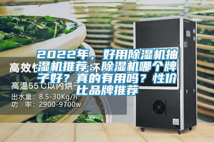 2022年，好用猫咪成人官网抽湿机推荐：猫咪成人官网哪个牌子好？真的有用吗？性价比品牌推荐