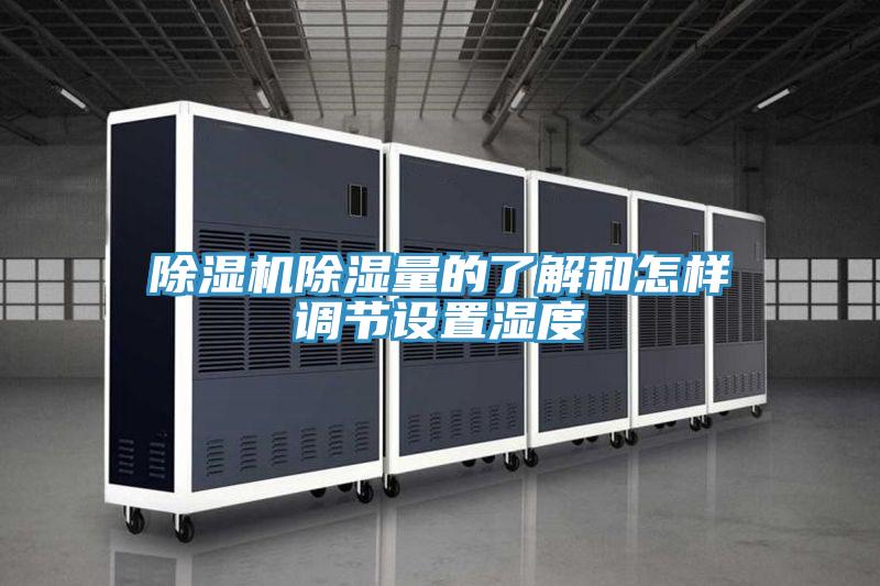 猫咪成人官网除湿量的了解和怎样调节设置湿度