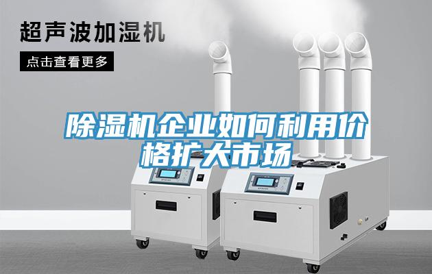 猫咪成人官网企业如何利用价格扩大市场