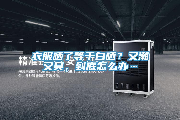 衣服晒了等于白晒？又潮又臭，到底怎么办…