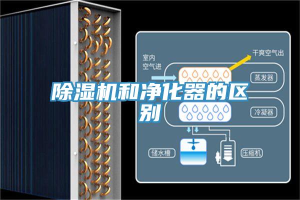 猫咪成人官网和净化器的区别