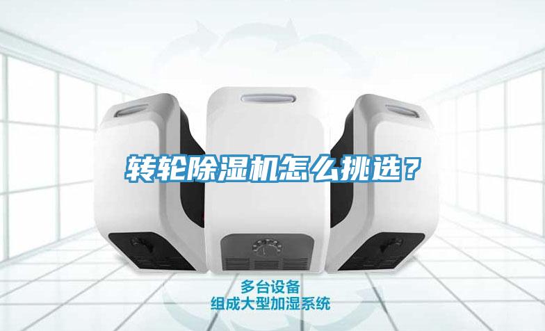 转轮猫咪成人官网怎么挑选？