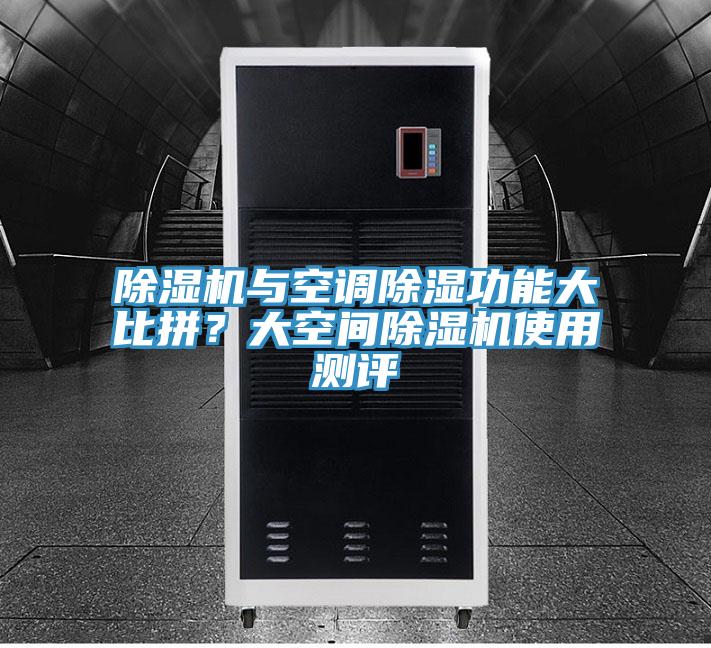 猫咪成人官网与空调除湿功能大比拼？大空间猫咪成人官网使用测评