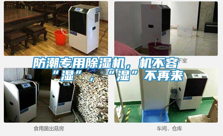 防潮专用猫咪成人官网，机不容“湿”，“湿”不再来