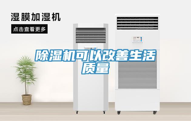 猫咪成人官网可以改善生活质量