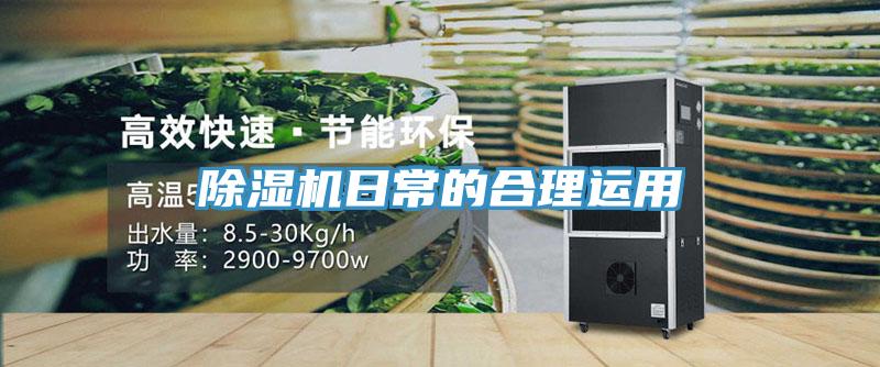 猫咪成人官网日常的合理运用