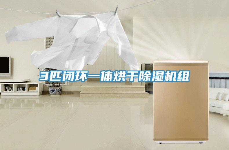 3匹闭环一体烘干猫咪成人官网组