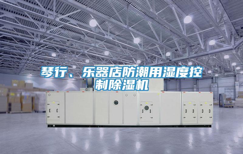 琴行、乐器店防潮用湿度控制猫咪成人官网