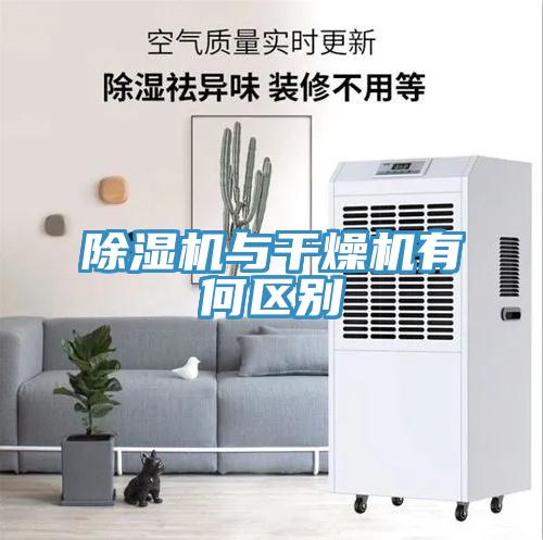 猫咪成人官网与干燥机有何区别