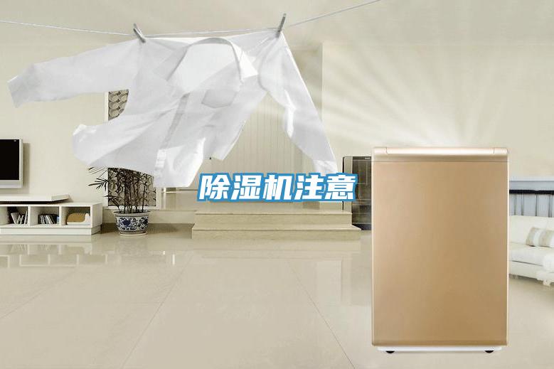 猫咪成人官网注意