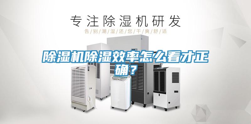 猫咪成人官网除湿效率怎么看才正确？