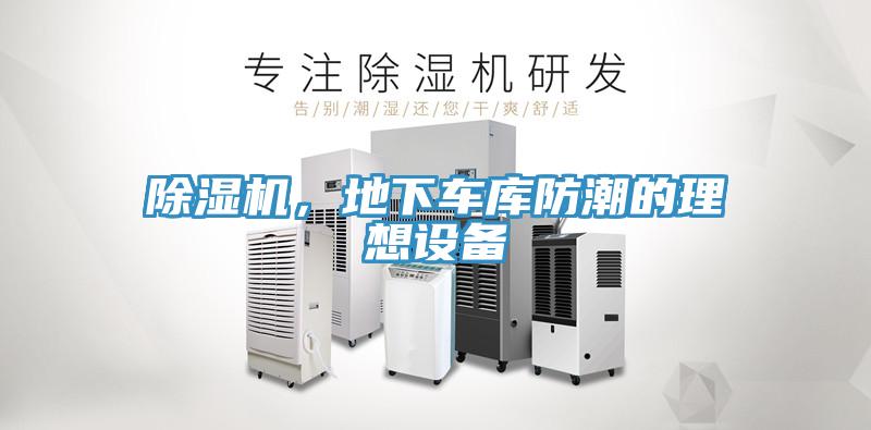 猫咪成人官网，地下车库防潮的理想设备