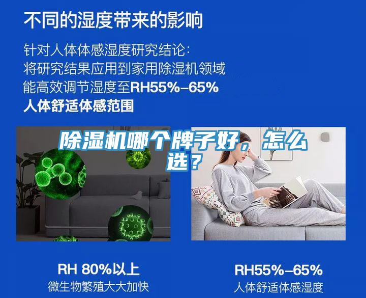 猫咪成人官网哪个牌子好，怎么选？