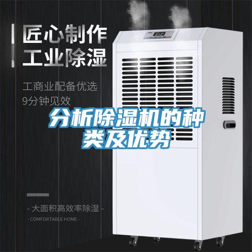 分析猫咪成人官网的种类及优势