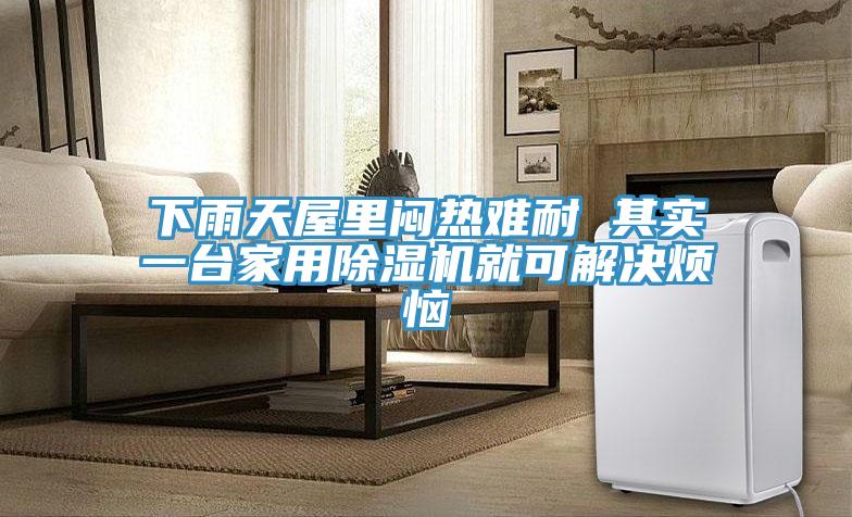 下雨天屋里闷热难耐 其实一台家用猫咪成人官网就可解决烦恼