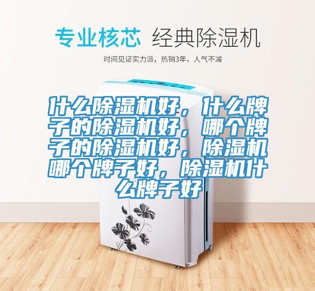 什么猫咪成人官网好，什么牌子的猫咪成人官网好，哪个牌子的猫咪成人官网好，猫咪成人官网哪个牌子好，猫咪成人官网什么牌子好