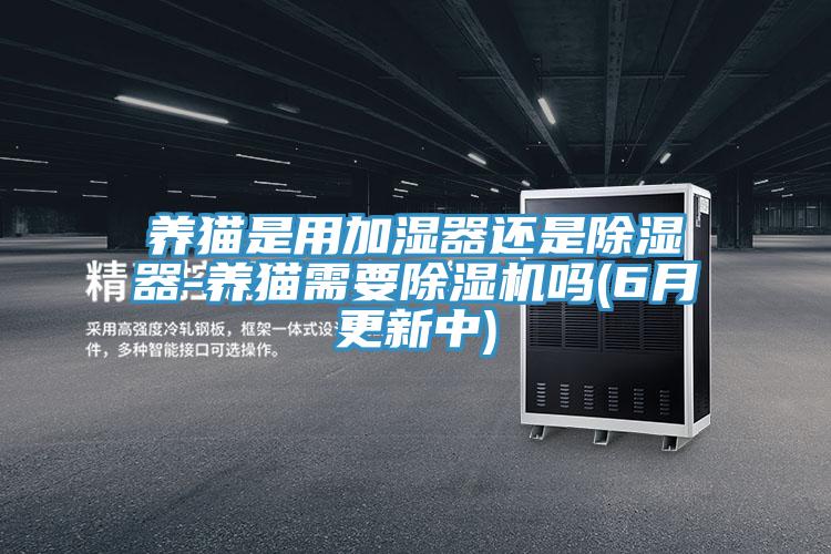 养猫是用加湿器还是除湿器-养猫需要猫咪成人官网吗(6月更新中)