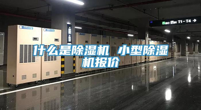 什么是猫咪成人官网 小型猫咪成人官网报价