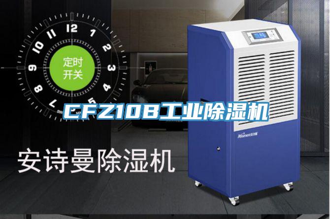 CFZ10B工业猫咪成人官网