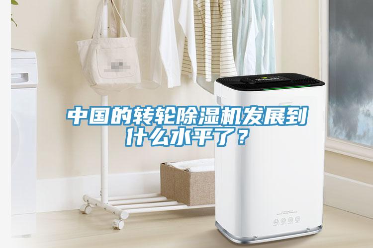 中国的转轮猫咪成人官网发展到什么水平了？