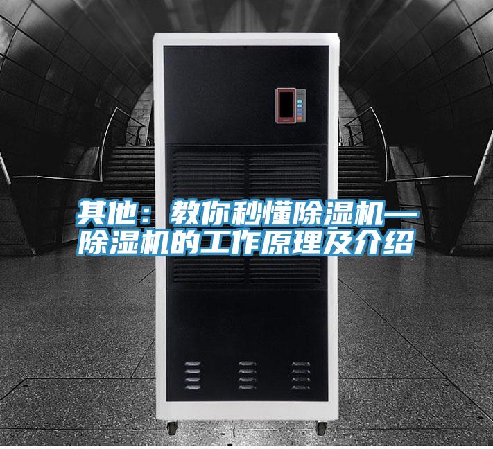 其他：教你秒懂猫咪成人官网—猫咪成人官网的工作原理及介绍