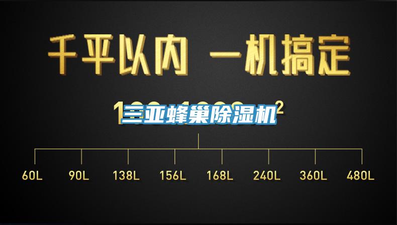 三亚蜂巢猫咪成人官网