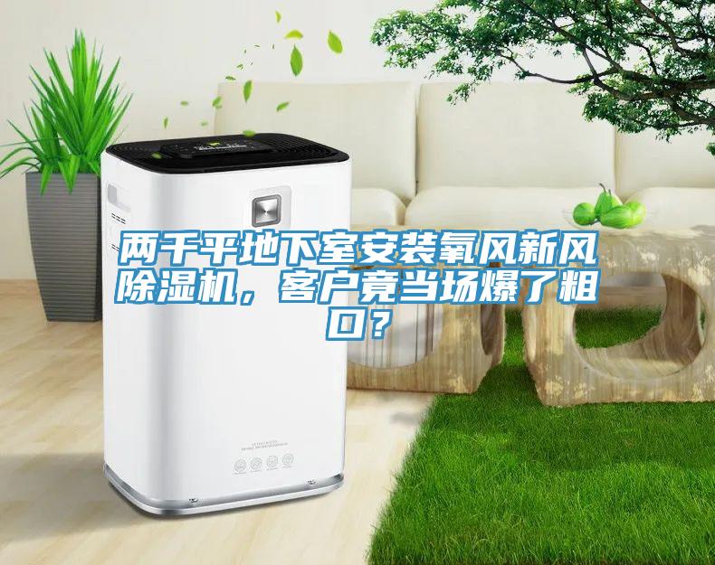 两千平地下室安装氧风新风猫咪成人官网，客户竟当场爆了粗口？