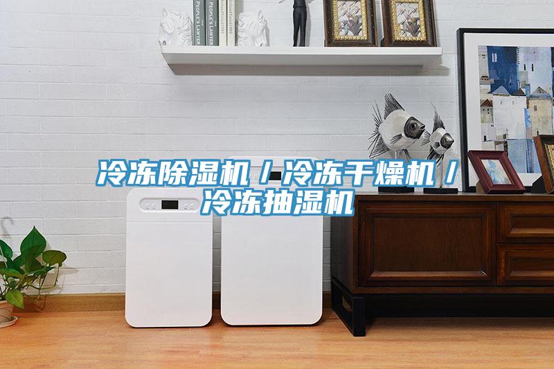 冷冻猫咪成人官网／冷冻干燥机／冷冻抽湿机