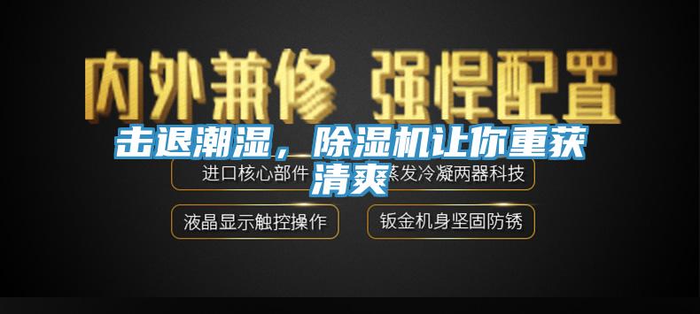 击退潮湿，猫咪成人官网让你重获清爽