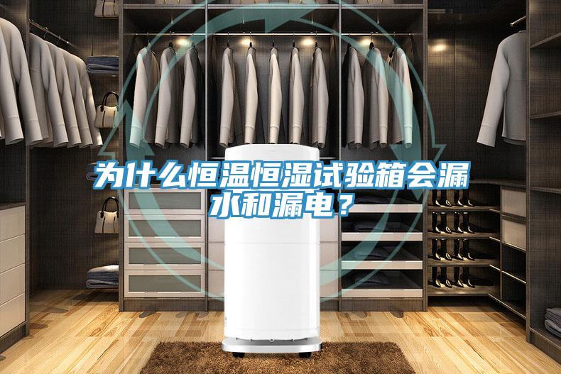为什么恒温恒湿试验箱会漏水和漏电？