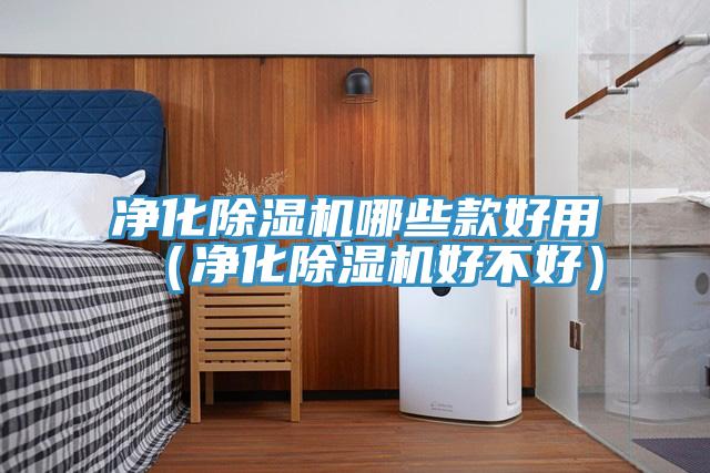 净化猫咪成人官网哪些款好用（净化猫咪成人官网好不好）