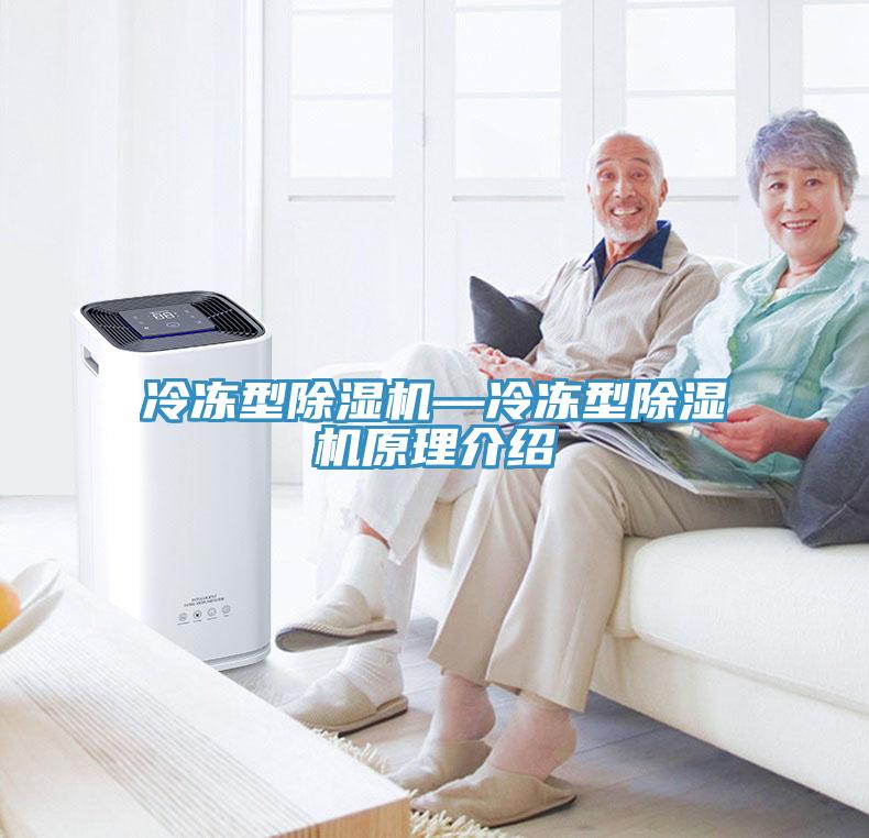 冷冻型猫咪成人官网—冷冻型猫咪成人官网原理介绍
