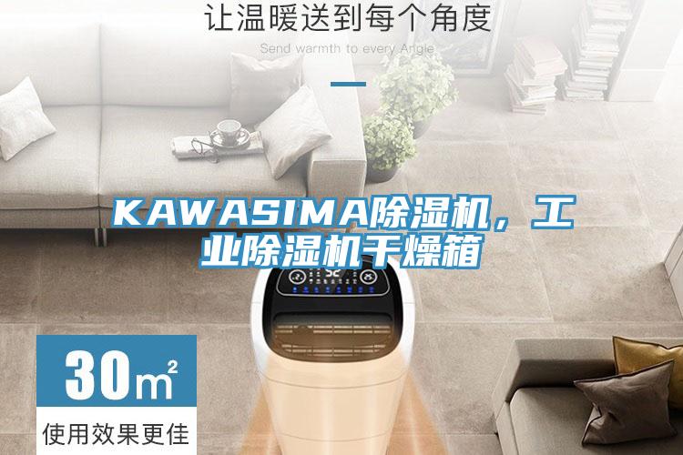 KAWASIMA猫咪成人官网，工业猫咪成人官网干燥箱